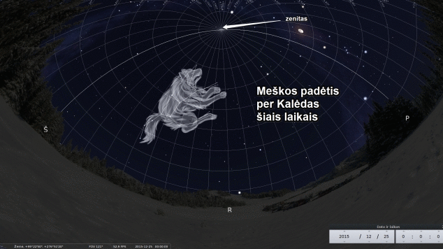 Meškos padėtis per Kalėdas prieš 4500 metų Meška, ledo kalnas ir dangus